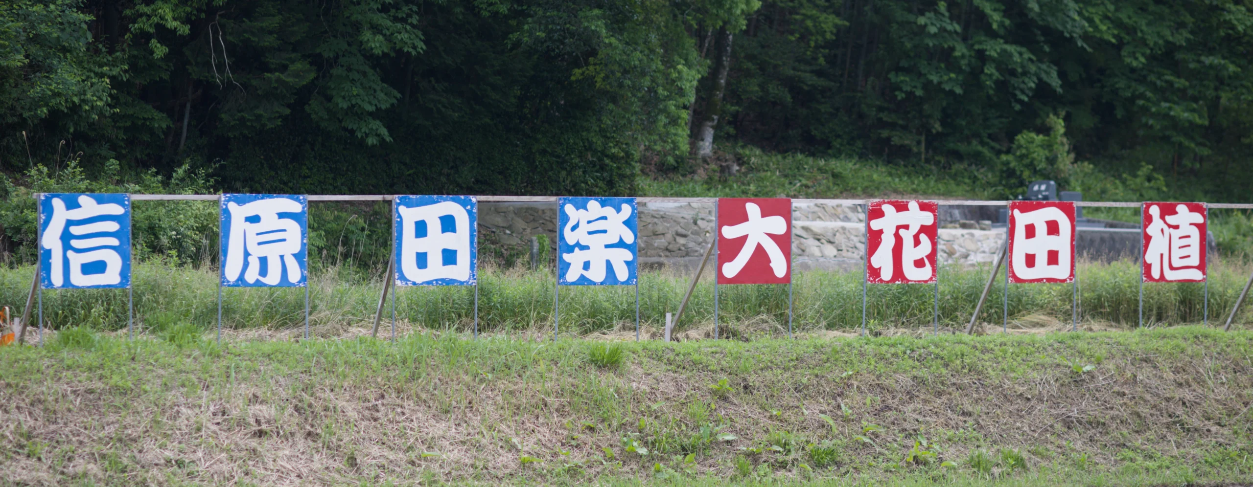 信原田楽大花田植の撮影ガイド！三次の伝統を美しく切り取る【広島】