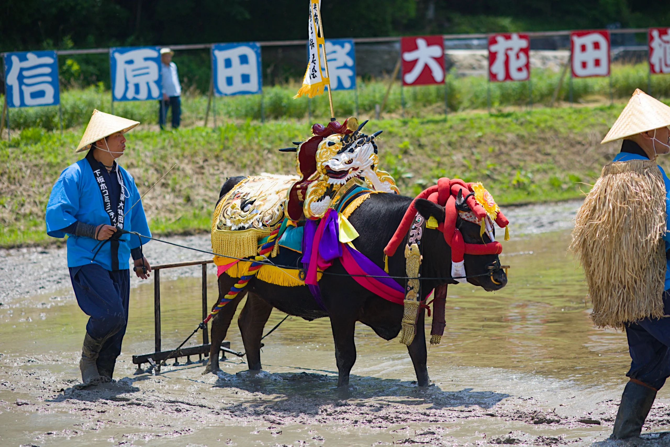 信原田楽大花田植の撮影ガイド！三次の伝統を美しく切り取る【広島】