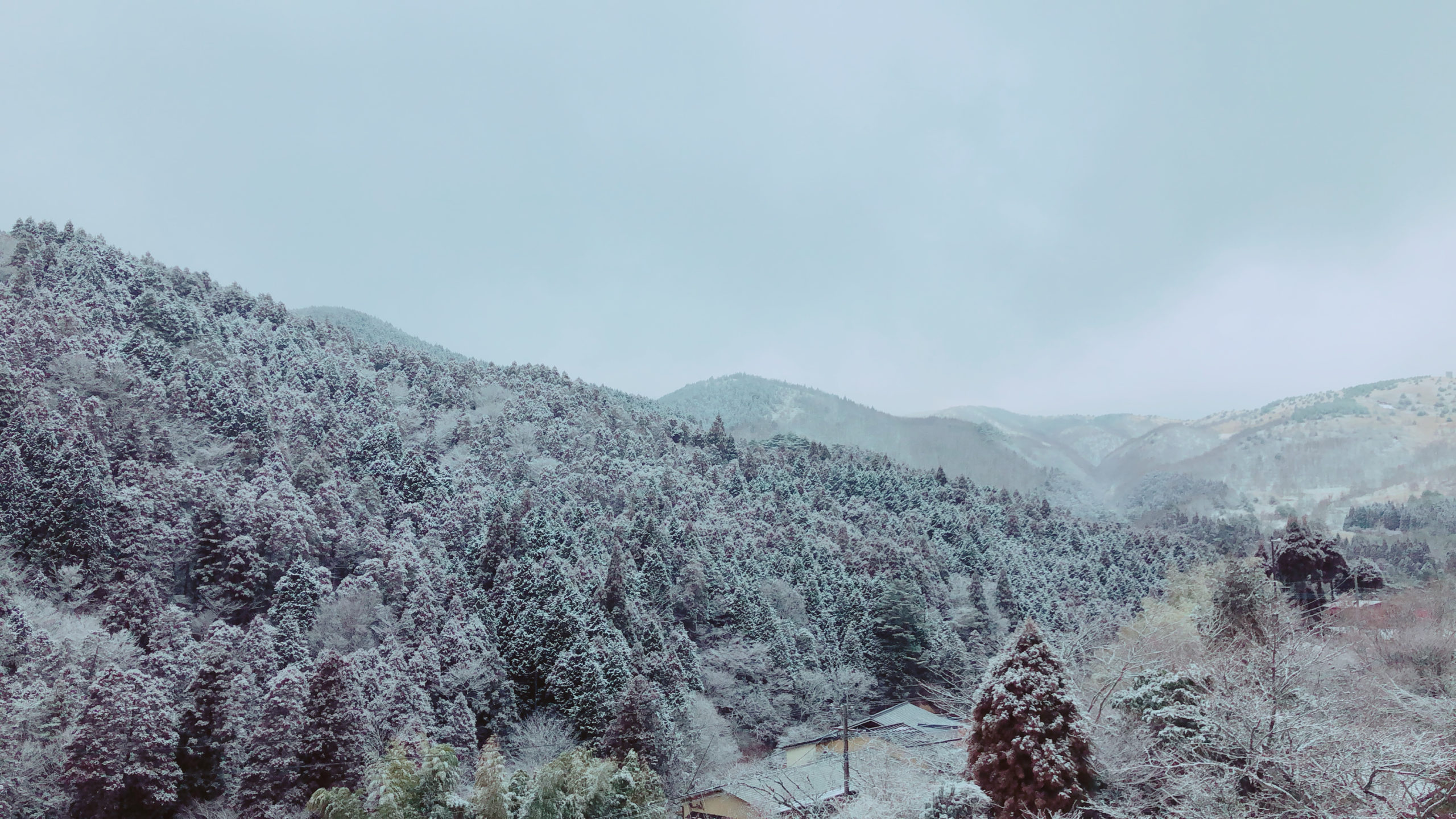 雪の積もった久住高原