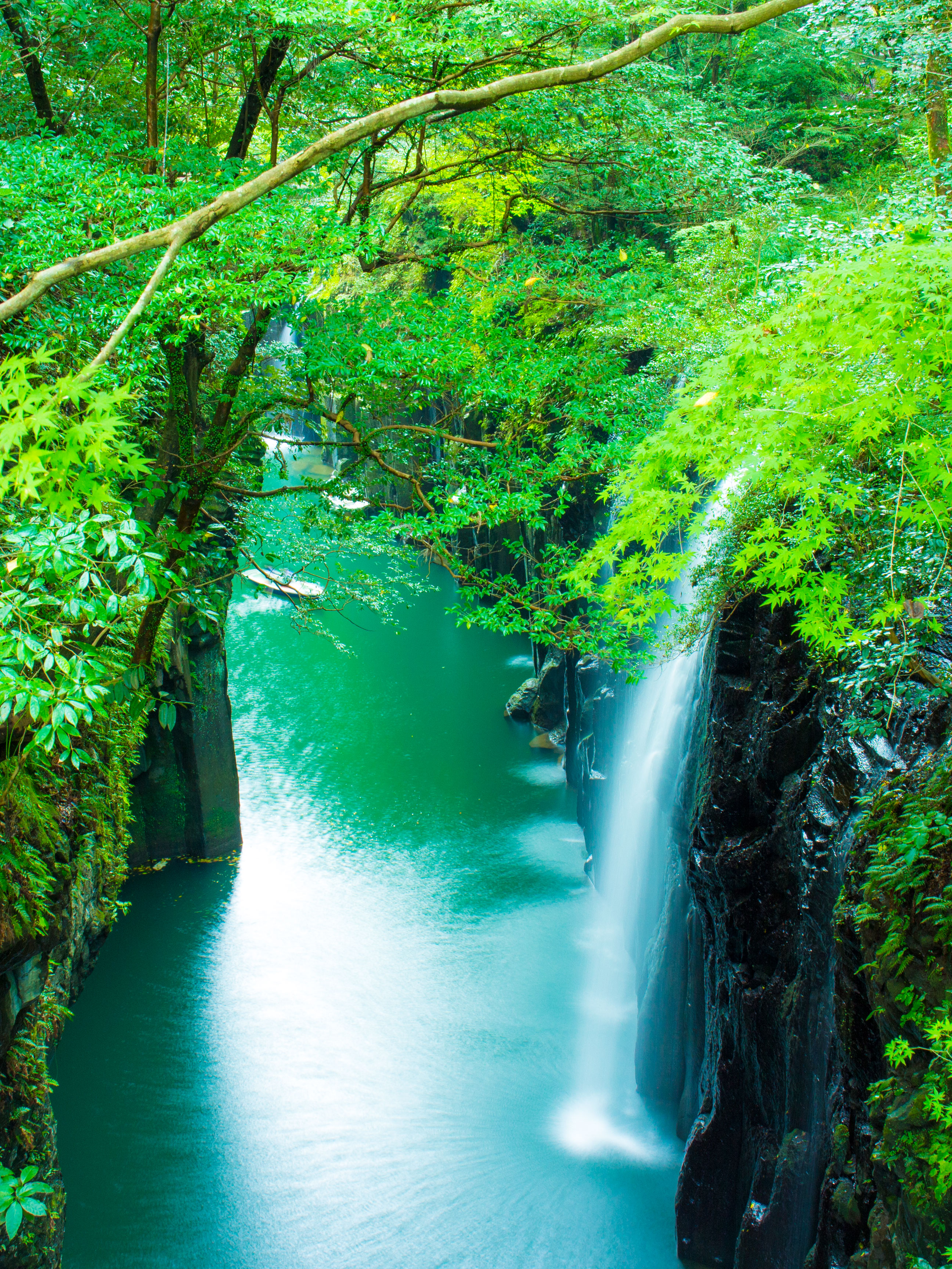 世界農業遺産フォトコンテスト　高千穂郷・椎葉山地域 開催中みたいです。